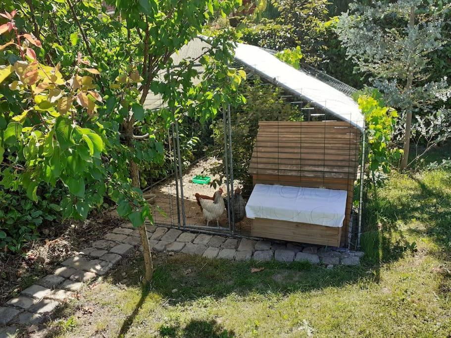 Dependance Proche Lyon